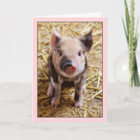 Cute Pig Pink Birthday Card