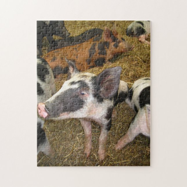 Cute Pig Puzzle (Vertical)