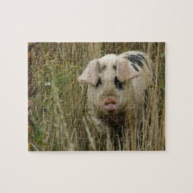 Cute Pig Puzzle (Horizontal)
