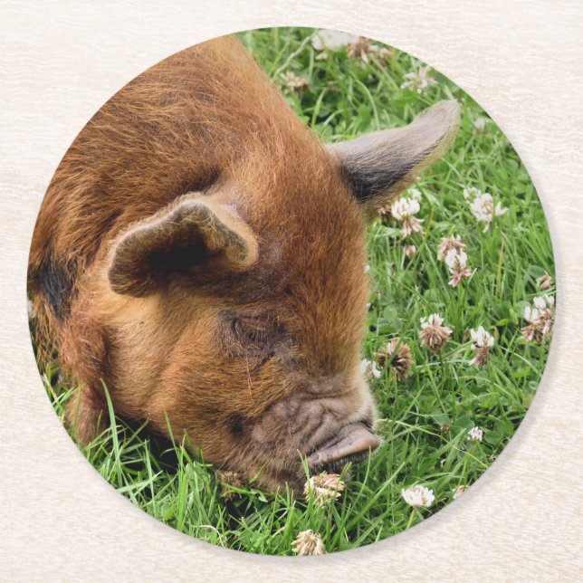 CUTE PIG   ROUND PAPER COASTER (Front)