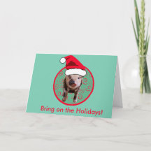 Cute Pig Santa - Teal and Red