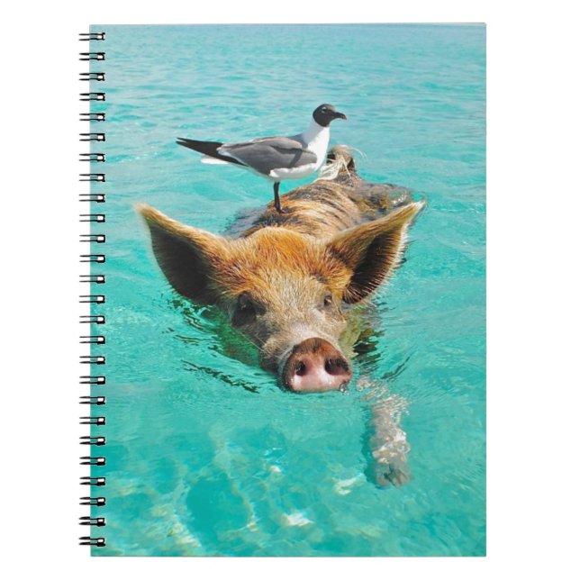 Cute pig swimming in water notebook (Front)