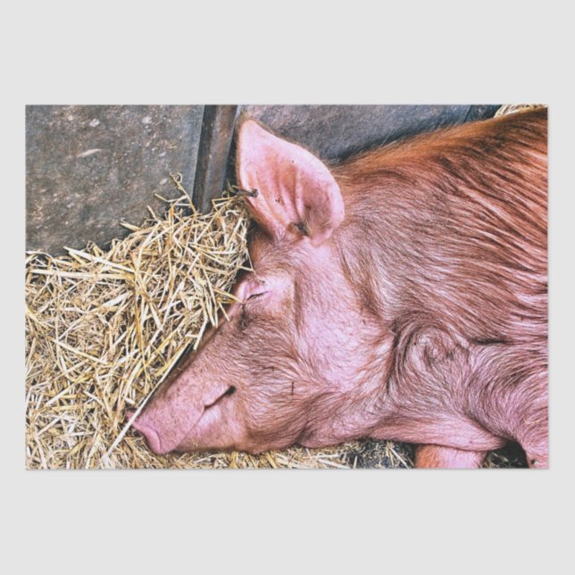 CUTE PIG TISSUE PAPER (Front)