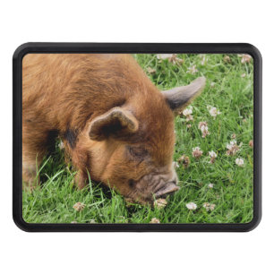 CUTE PIG  TRAILER HITCH COVER
