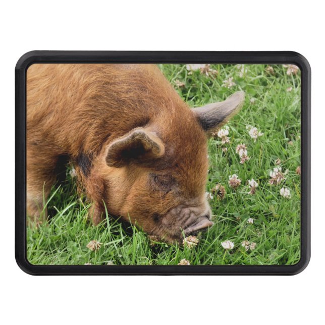 CUTE PIG  TRAILER HITCH COVER (Front)
