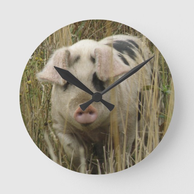 Cute Pig Wall Clock (Front)