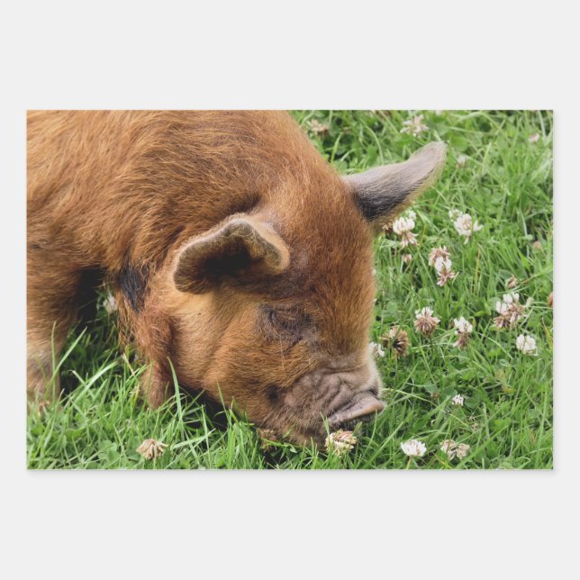 CUTE PIG  WRAPPING PAPER SHEET (Front)