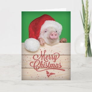 Cute Piggy Pudding Christmas Pig in Santa Hat Holiday Card