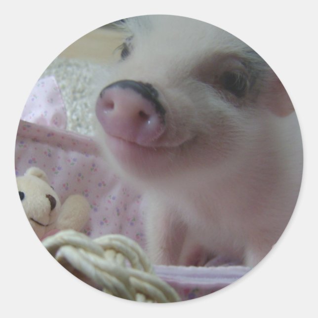 Cute Piglet Classic Round Sticker (Front)