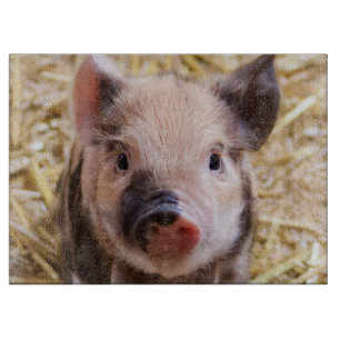 Cute Piglet Cutting Board