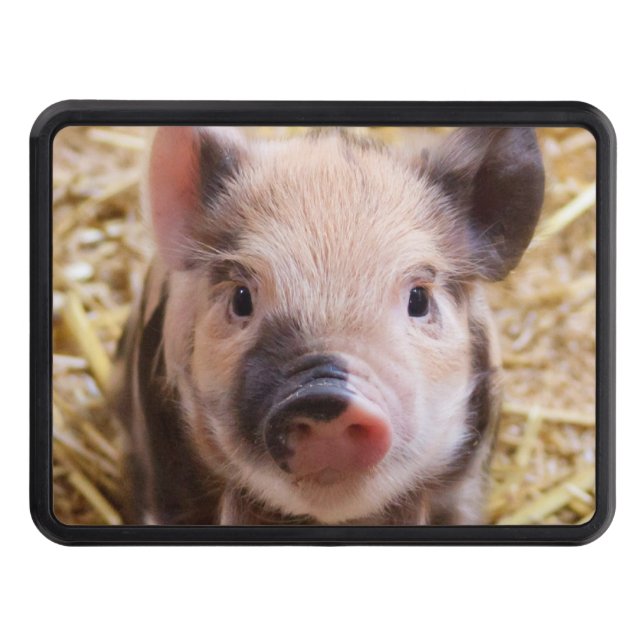 Cute piglet trailer hitch cover (Front)