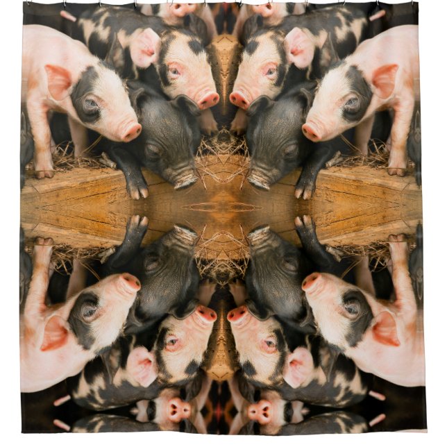 Cute piglets (Front)