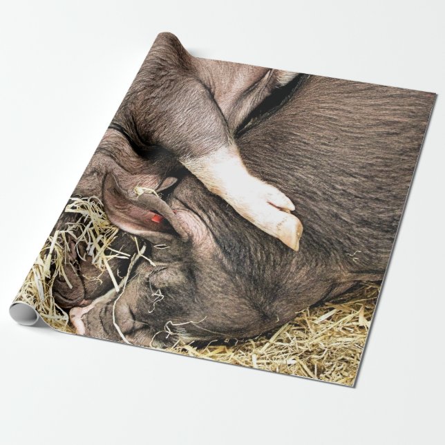 CUTE PIGS WRAPPING PAPER (Unrolled)