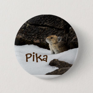 Cute Pika in the Snow Photo 2 Inch Round Button