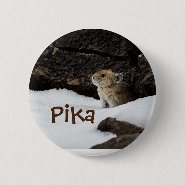 Cute Pika in the Snow Photo 2 Inch Round Button (Front)