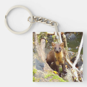 Cute Pine Marten on Fallen Tree Keychain