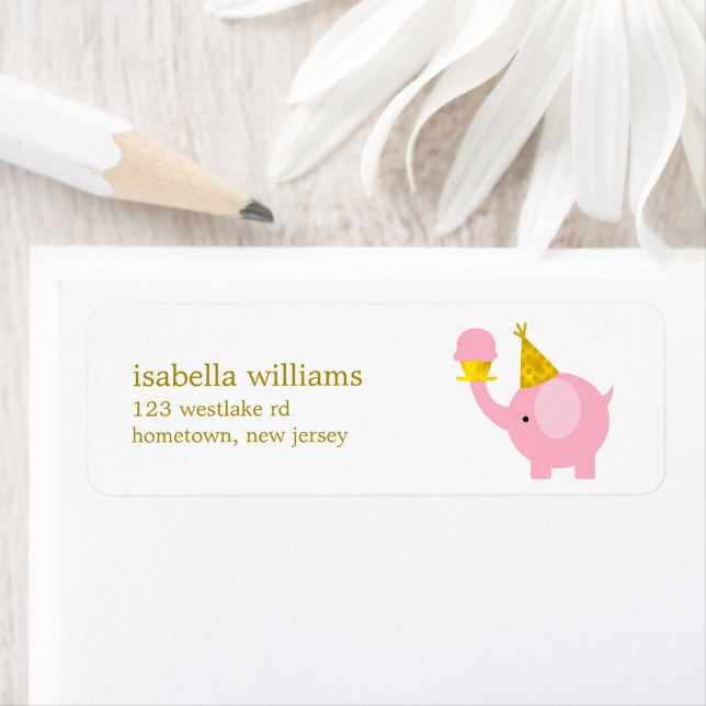Cute Pink Elephant Birthday Party (Insitu)