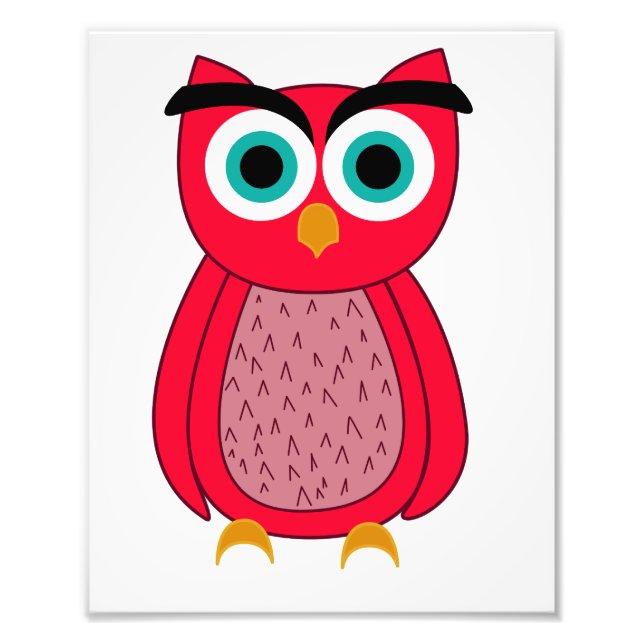 Cute Pink Owl Photo Print (Front)