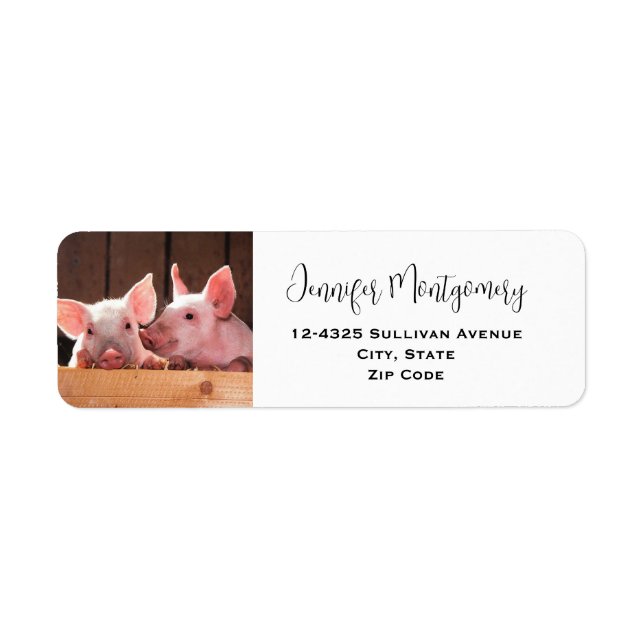 Cute Pink Piglets Animal Photograph (Front)