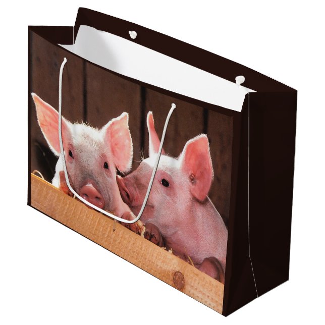 Cute Pink Piglets Animal Photograph Large Gift Bag (Front Angled)