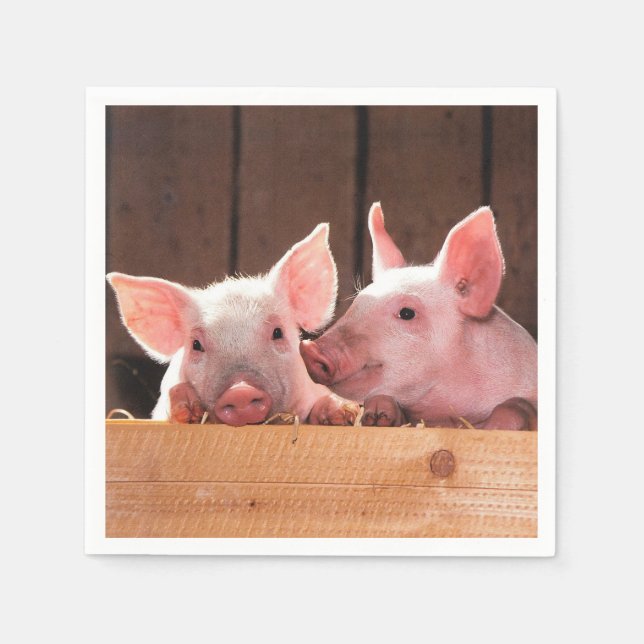 Cute Pink Piglets Animal Photograph Napkin (Front)