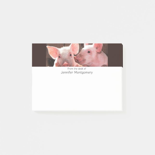 Cute Pink Piglets Animal Photograph Post-it Notes (Front)