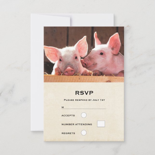 Cute Pink Piglets Animal Photograph RSVP Card (Front)