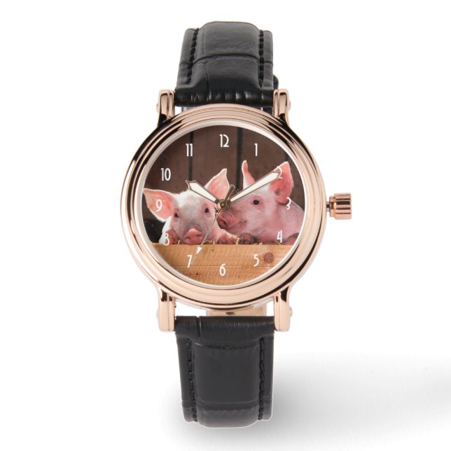 Cute Pink Piglets Animal Photograph Watch (Front)