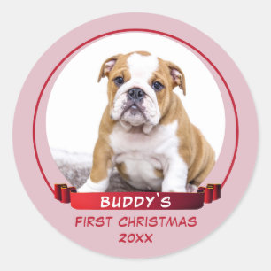 Cute Pink Puppy 1st Christmas Dog Photo Classic Round Sticker