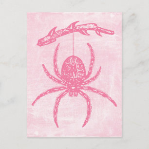 Cute Pink Spider Postcard