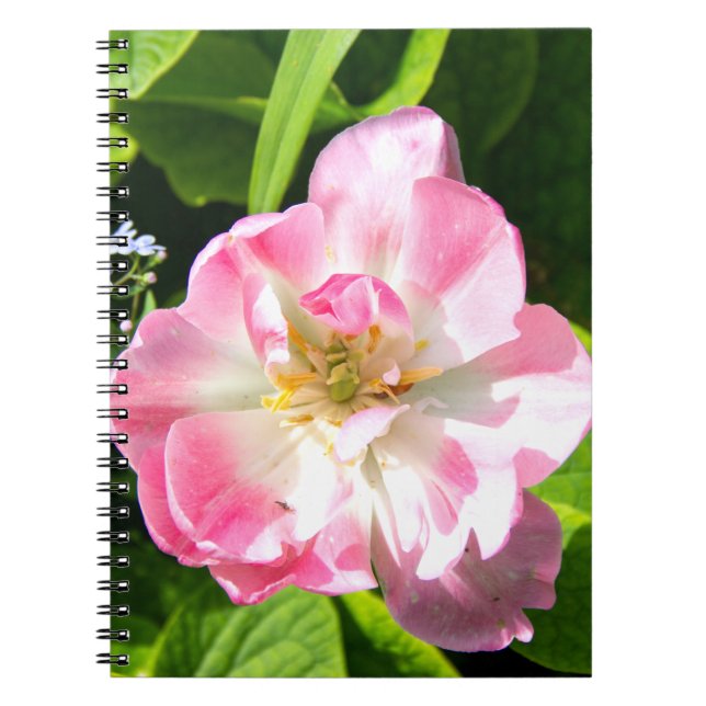 Cute pink tulip notebook (Front)