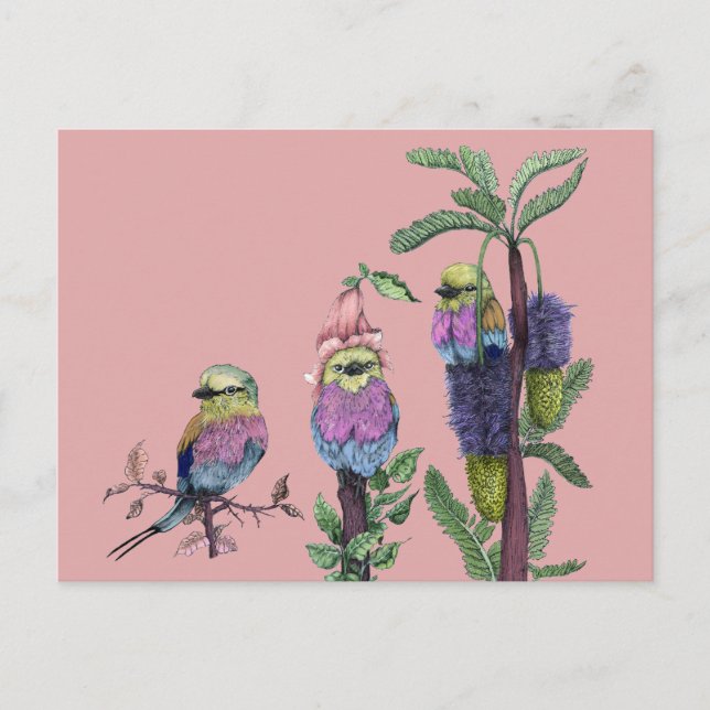 Cute Pink Watercolor African Bird Illustration Postcard (Front)