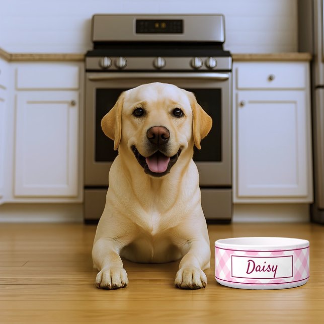 Cute Pink White Gingham Chequered Pattern Name Bowl (Creator Uploaded)