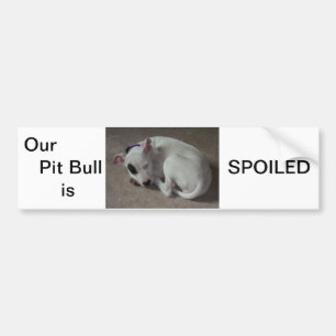Cute pit bull bumper sticker