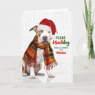 Cute Pit Bull Dog Funny Fleas Navidog with Name Holiday Card
