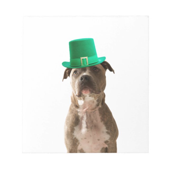 Cute Pit Bull Dog Hat St. Patrick's Day Notepad (Front)