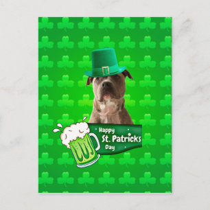 Cute Pit Bull Dog Hat St. Patrick's Day w Clovers Postcard