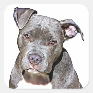 Cute Pit Bull Dog Stickers