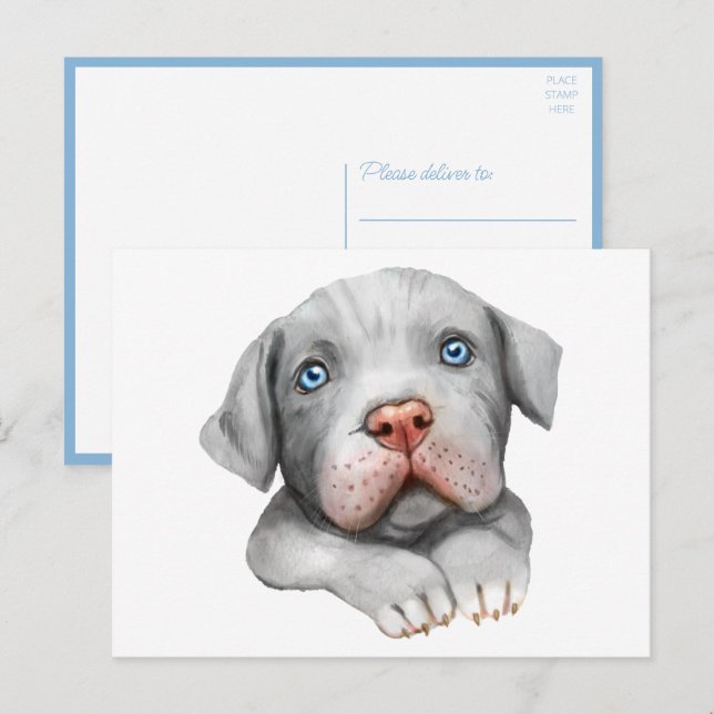Cute Pit Bull Pittie Puppy Dog Love Hello Pitbull  Postcard (Front/Back)