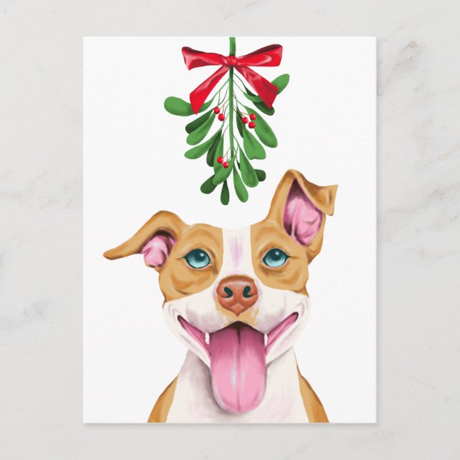 Cute Pitbull Dog and Mistletoe Christmas Holiday Postcard (Front)