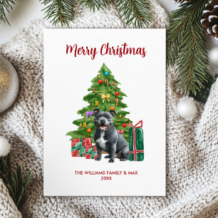 Cute Pitbull Dog Family Christmas Holiday Card