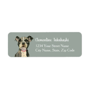 Cute Pitbull Dog Puppy Eyes Return Address