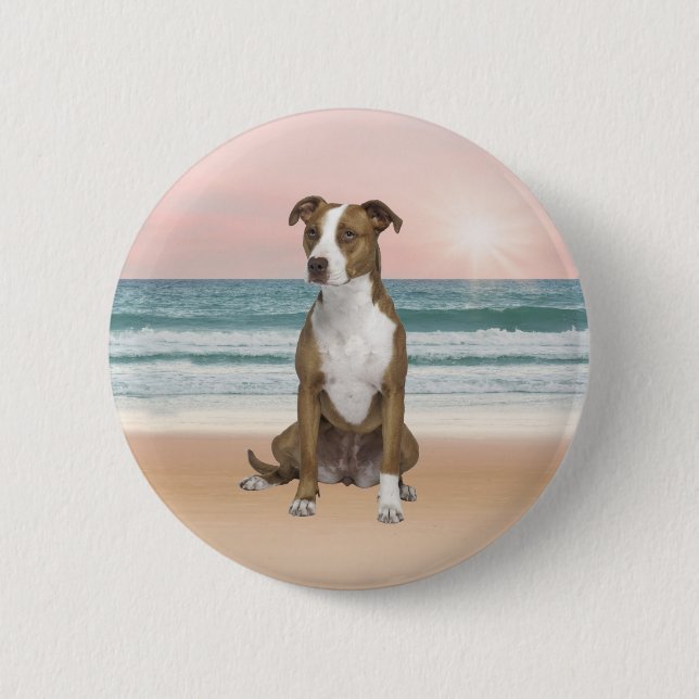 Cute Pitbull Dog Sitting on Beach with sunset 2 Inch Round Button (Front)