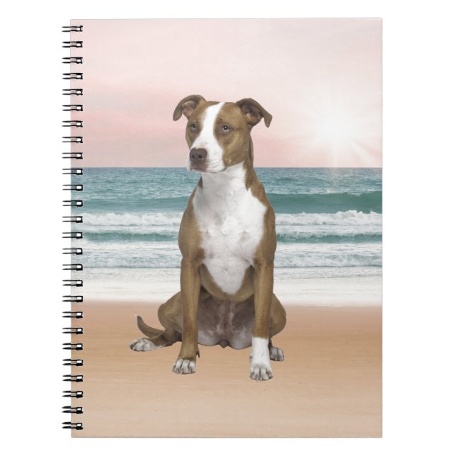 Cute Pitbull Dog Sitting on Beach with sunset Notebook (Front)