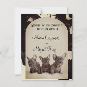 cute pitbull elegant party invitation