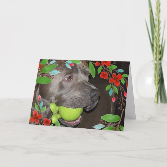 Cute Pitbull Terrier with Red Flower Frame Card (Front)