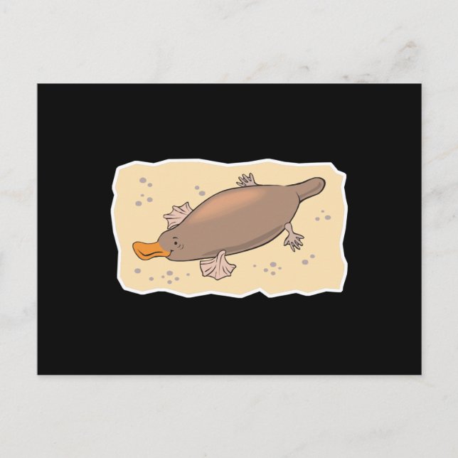 cute platypus in the sand postcard (Front)
