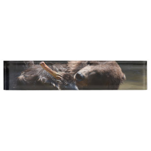 Cute Playful Brown Bear Nameplate