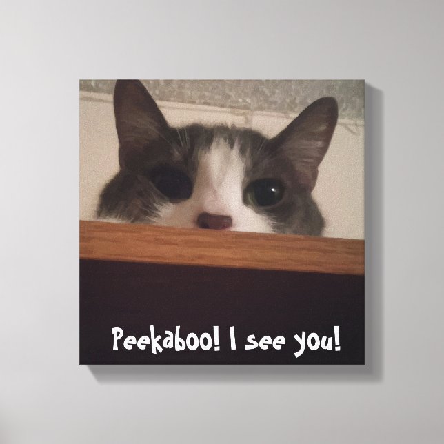 Cute Playful Kitty Cat Picture Wrapped Canvas (Front)