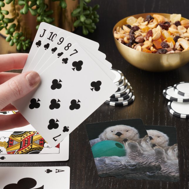 Cute Playful Sea Otters Playing Cards (In Situ)